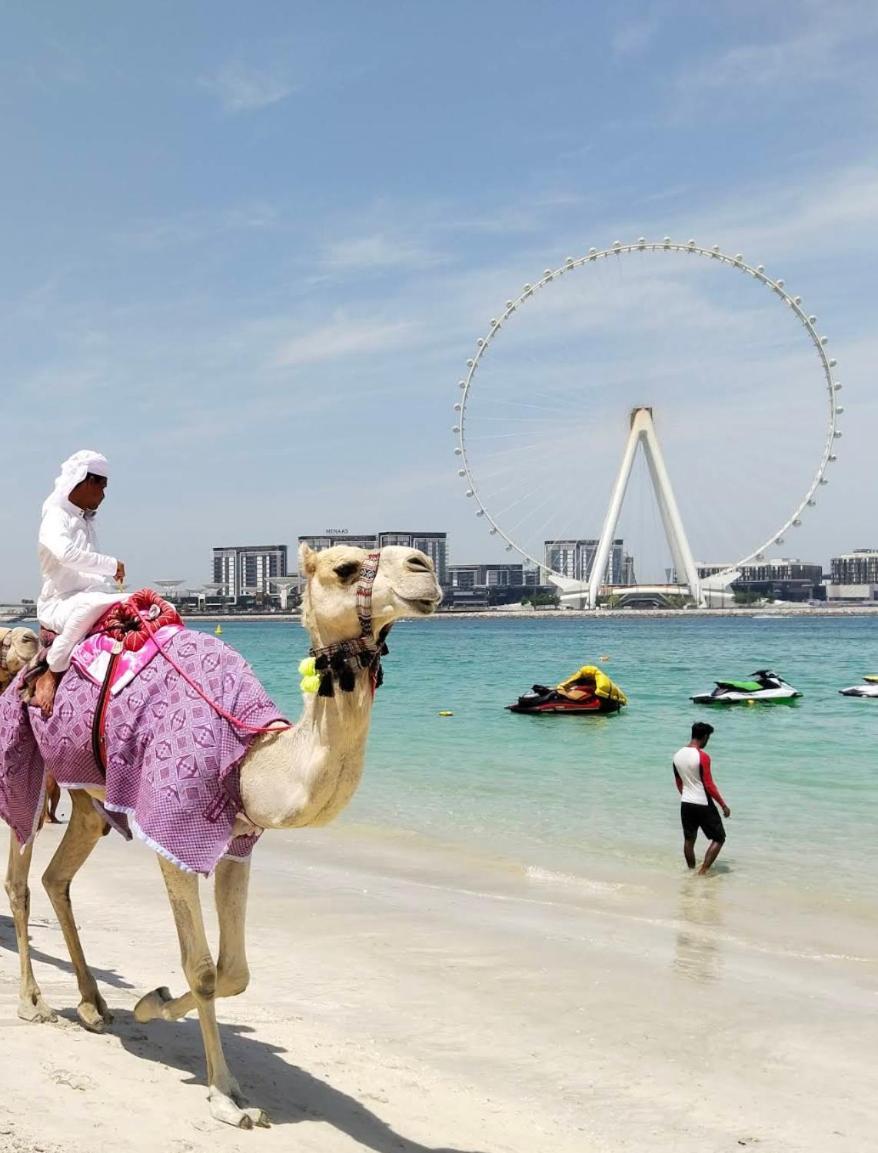 Ultimate 1 Bedroom Marina Views Location In The Heart Of Marina Perfect Vacation Near Marina Jbr Dubai